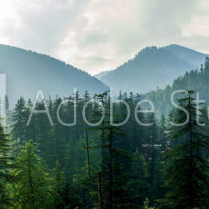 A mountain valley, Jibhi, Tirthan Valley, Himachal Pradesh, India